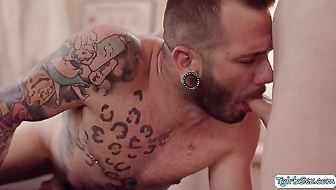 Sexy dark brown drilled and chab recruits